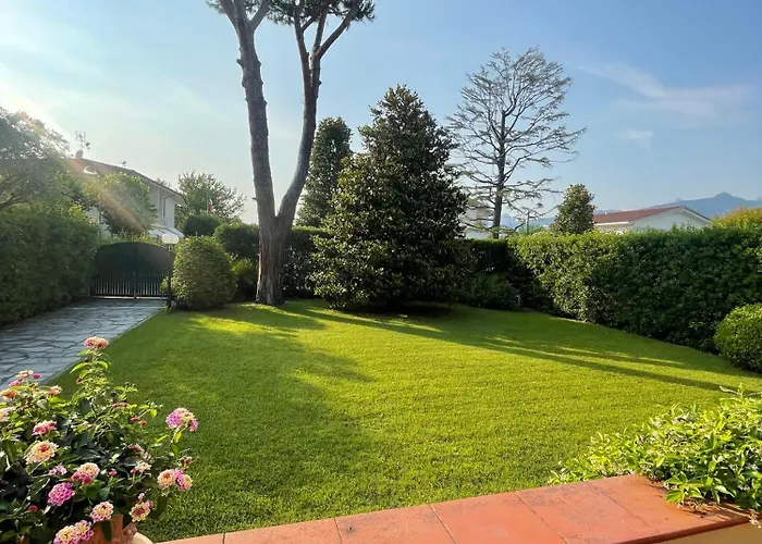 Le Jukke Dei Marmi * Форте-дей-Мармі